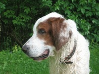 20180630-095301.png 20180630-095301.png