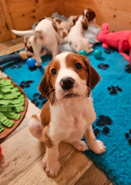 g2024-03-12_214812.jpg g2024-03-12_214812.jpg