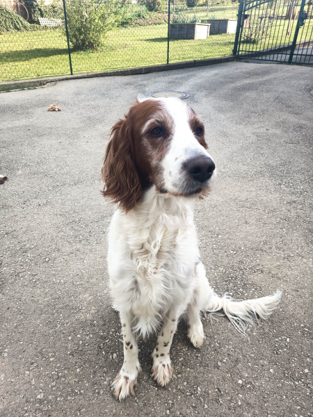 222309_verwandten_besuch.png 222309_verwandten_besuch.png