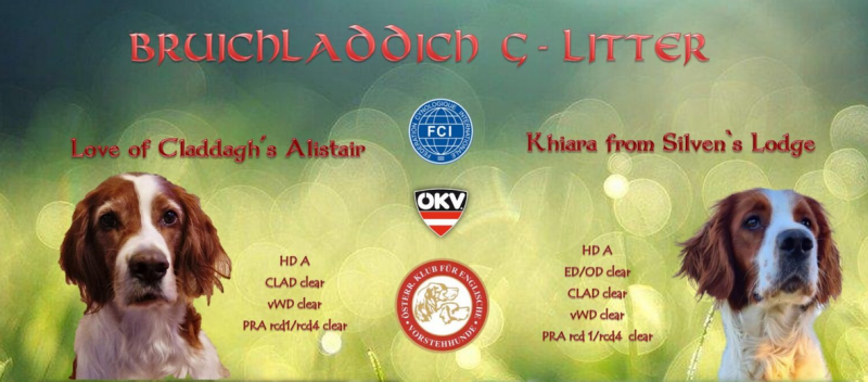 pedigree.png pedigree.png