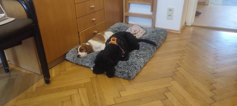 g2024-04-06_184810.jpg g2024-04-06_184810.jpg