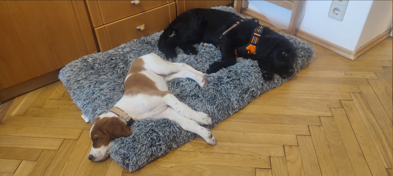 leben_in_der_bude.png leben_in_der_bude.png