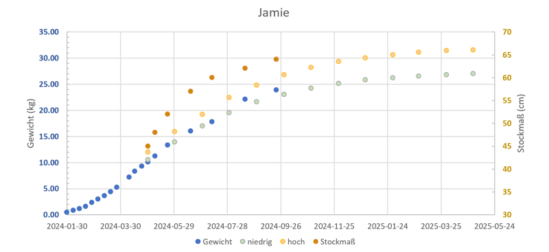 090237_termine.png 090237_termine.png