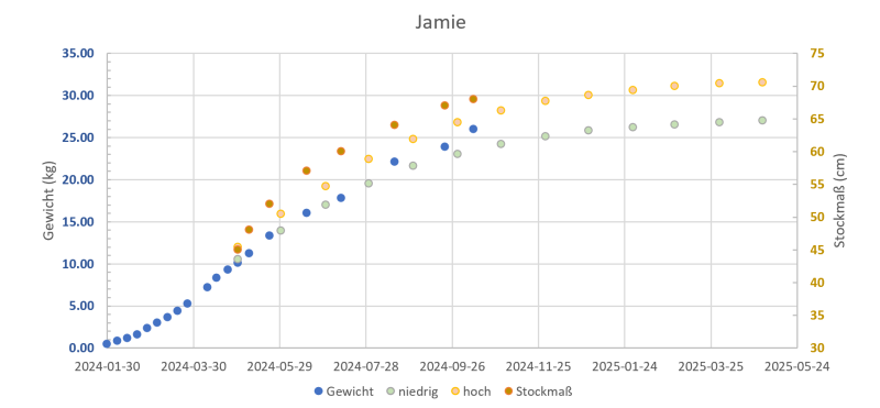 201948_termine.png 201948_termine.png