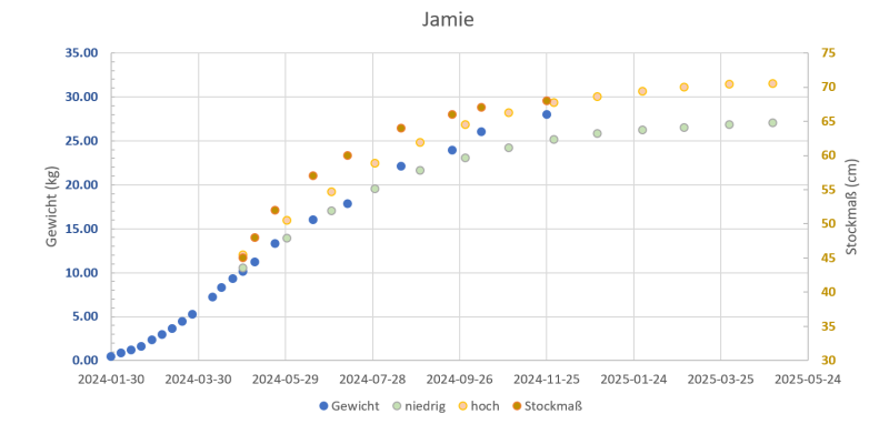 153127_termine.png 153127_termine.png