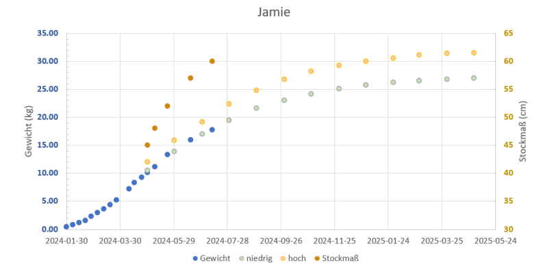 121904_termine.png 121904_termine.png