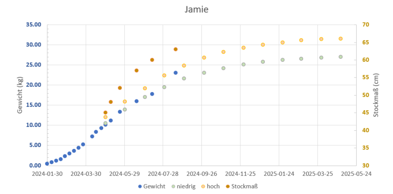 132648_termine.png 132648_termine.png