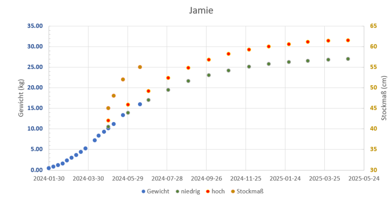 071650_termine.png 071650_termine.png