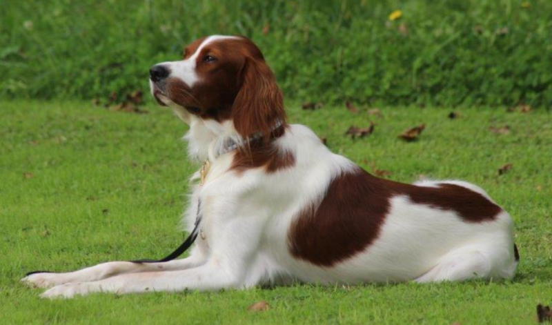 230342_start.png 230342_start.png