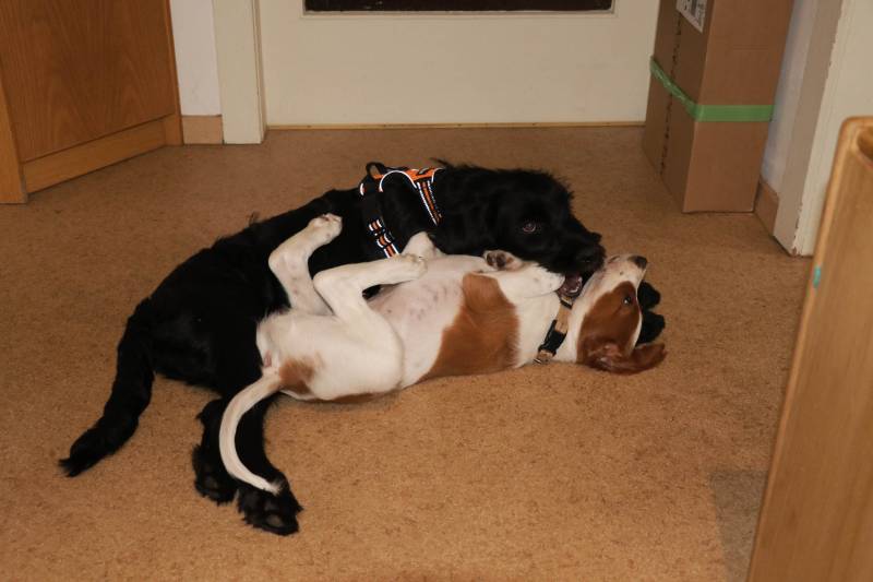 g2024-04-10_101151.jpg g2024-04-10_101151.jpg