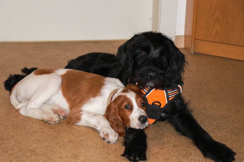 g2024-04-10_101013.jpg g2024-04-10_101013.jpg