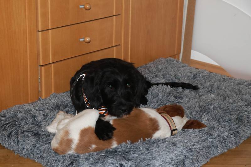 g2024-04-09_172957.jpg g2024-04-09_172957.jpg