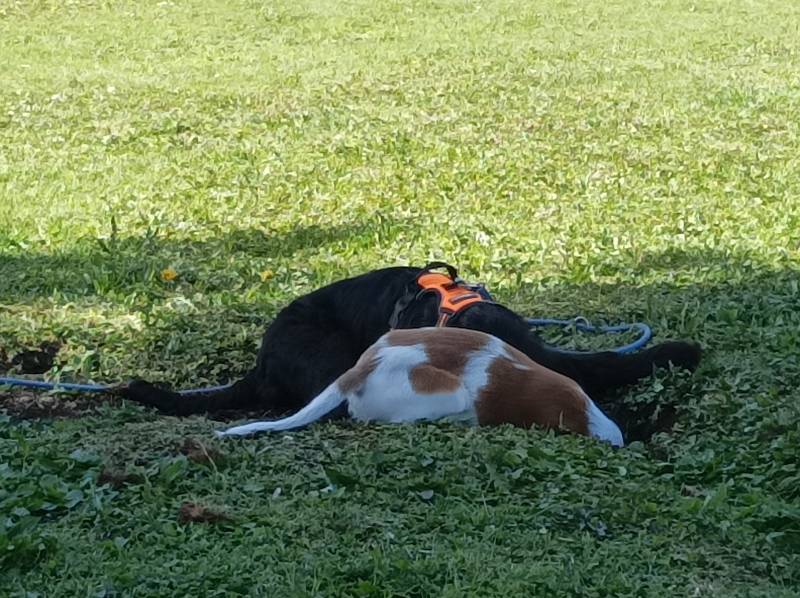 Eigentlich ginge es noch tiefer Eigentlich ginge es noch tiefer