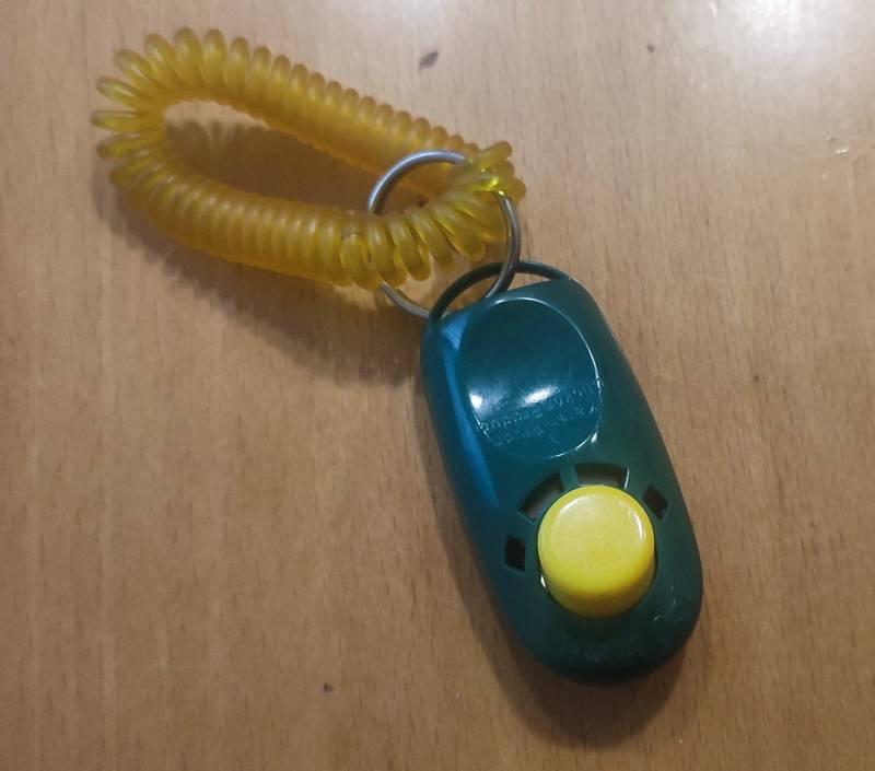 124629_schule_hat_begonnen.jpeg 124629_schule_hat_begonnen.jpeg